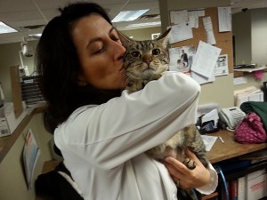 Veterinary Referral and Emergency Center - Angel Fund Success Stories - Ovi the Cat